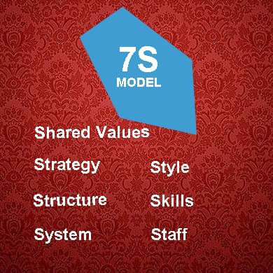 How to evaluate your company - 7S Model